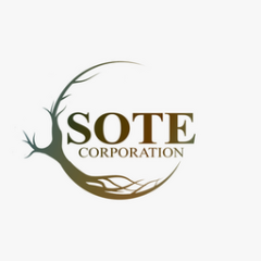 Sote Corporation